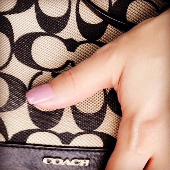 Meet your Posher, Lady Bijou! - Picture 8 of 8